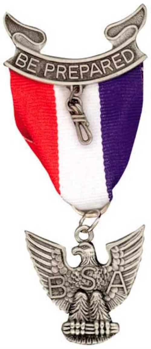 if you are a life scout interested in earning the rank of eagle scout ...